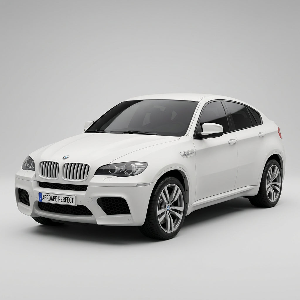 BMW X6 M (E71) 07.2009–09.2011