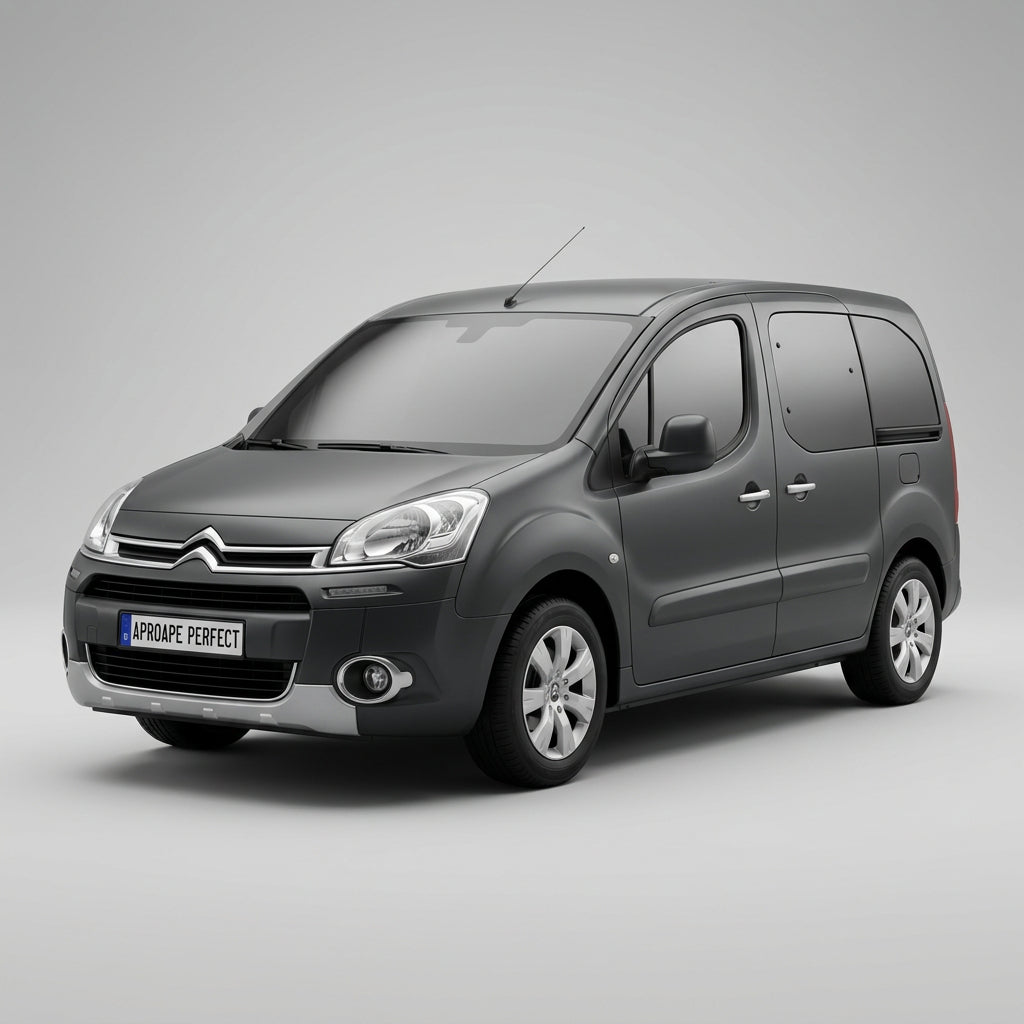 Citroen Berlingo Multispace (B9) 05.2008–12.2018
