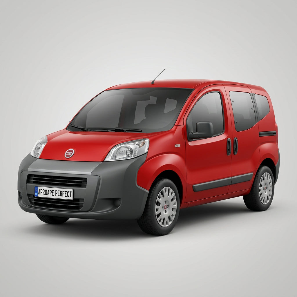 Fiat Qubo 225 din 09.2008