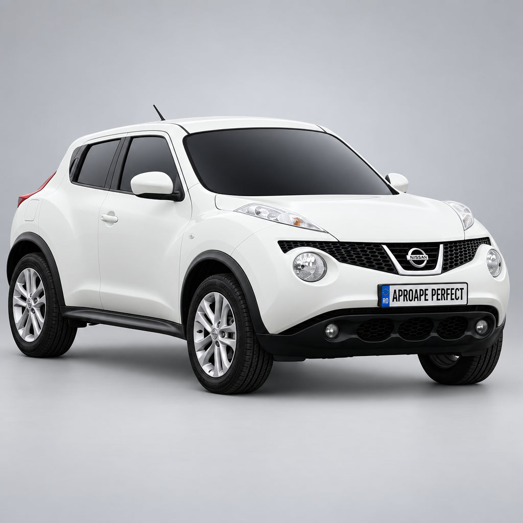 Nissan Juke Van (F15) 2010-2019
