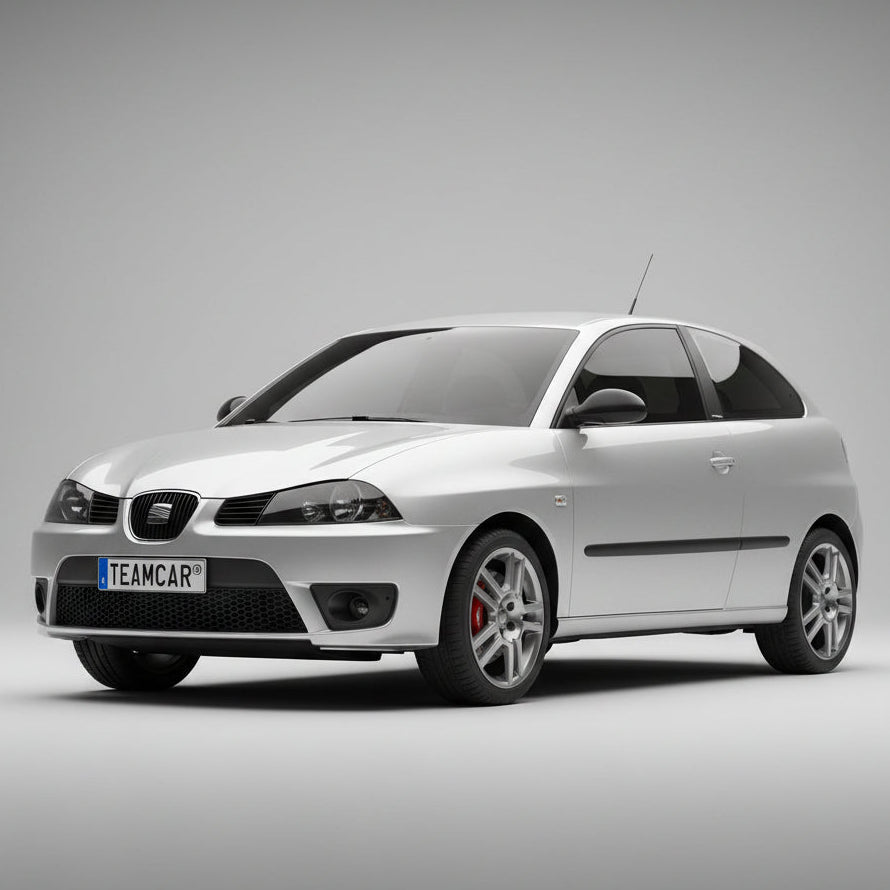 SEAT_ibitza_hatchback_facelift_3_usi_2006-2008