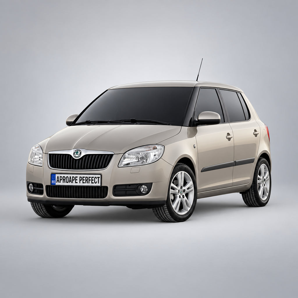 Skoda Fabia II 542 2006–2014