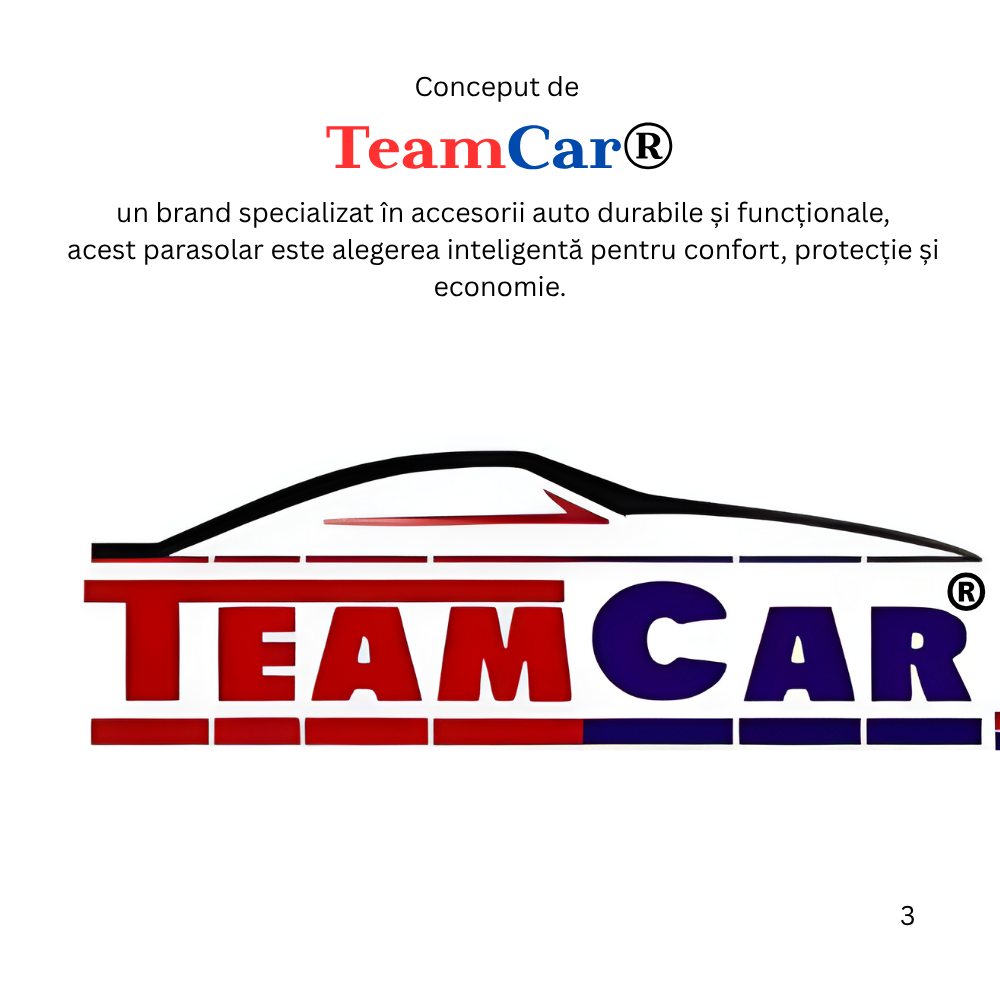 TeamCar logo with text on a white background