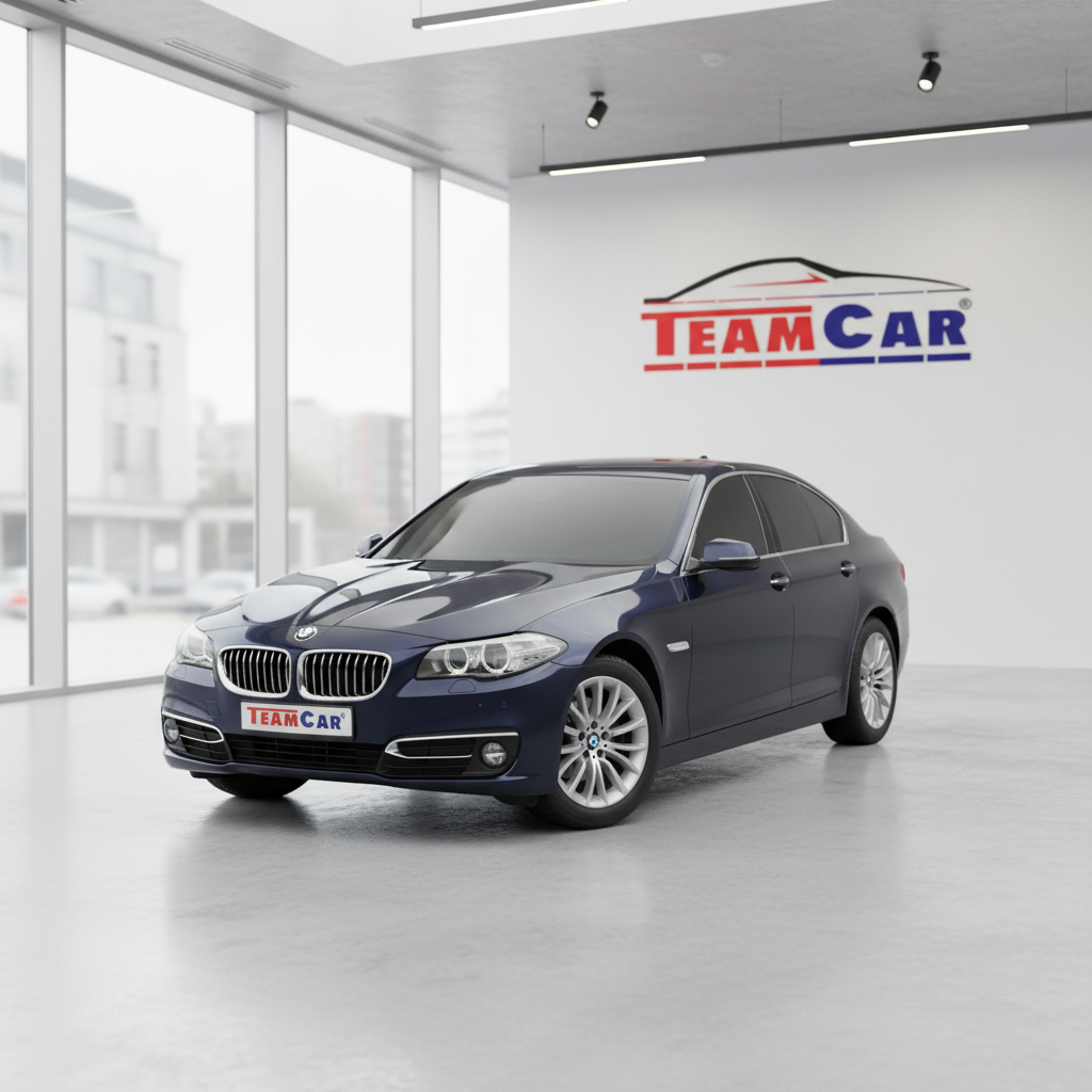 bmw seria 5 f10 2016