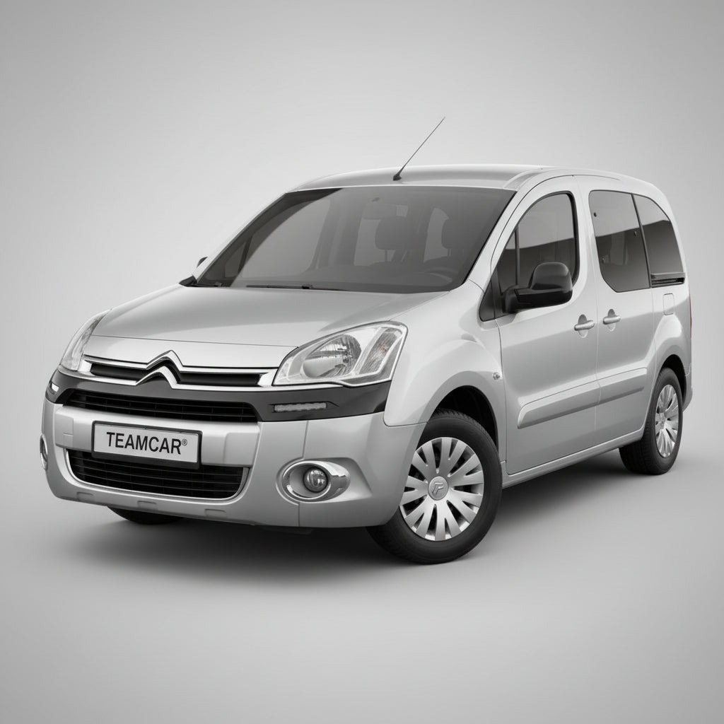 citroen_berlingo_ii_2008-2018