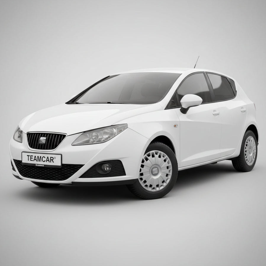 seat_ibitza_hatchback_5_usi_2008-2012
