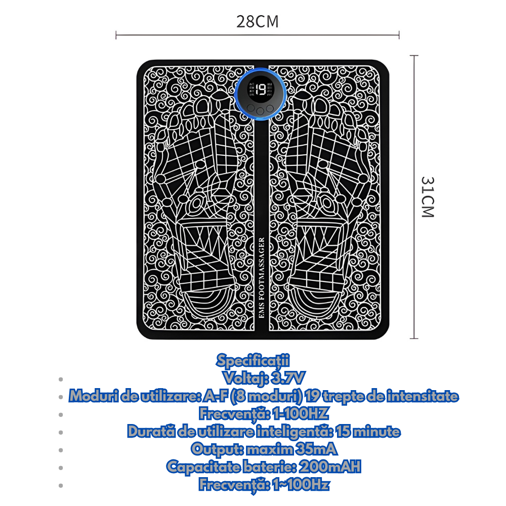 EMS Dimensions