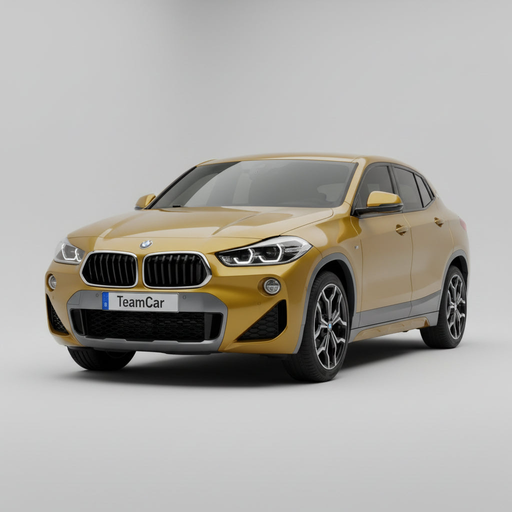 BMW X2 (F39) 2017-2023