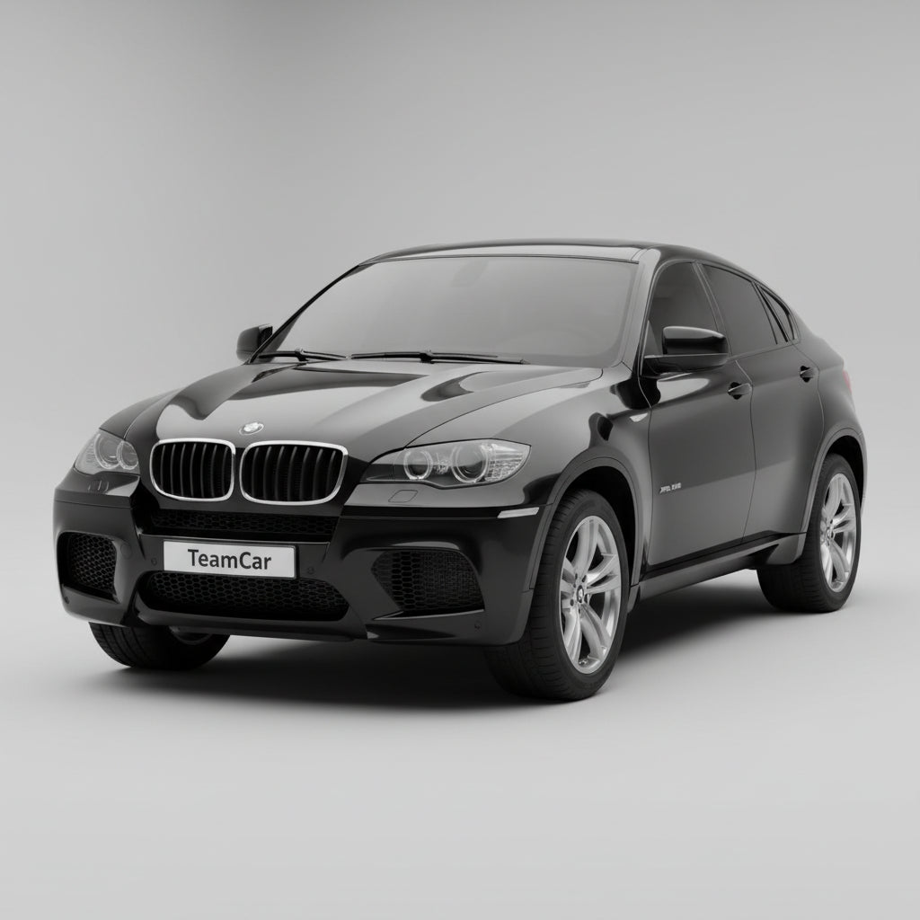 BMW X6 M (E71) 2009-2012