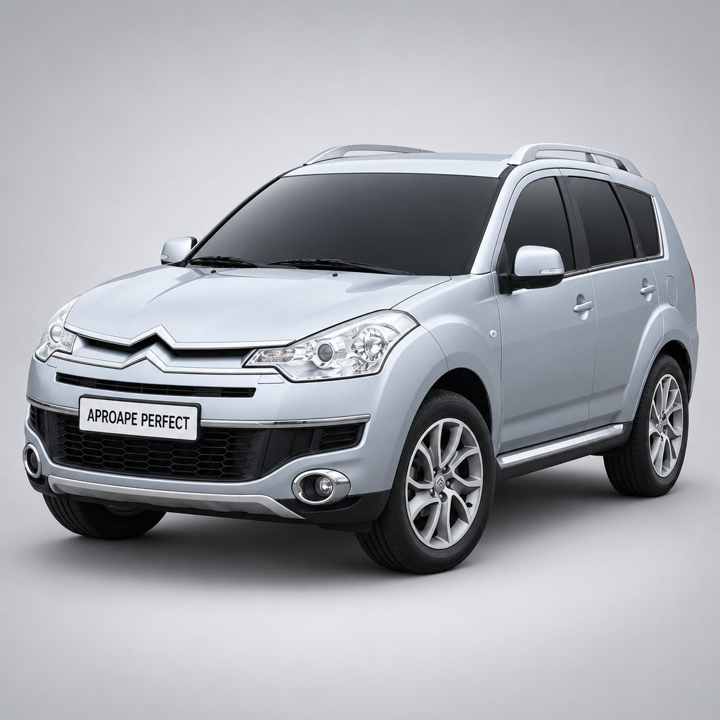 Citroen C-Crosser Van 09.2007–01.2013