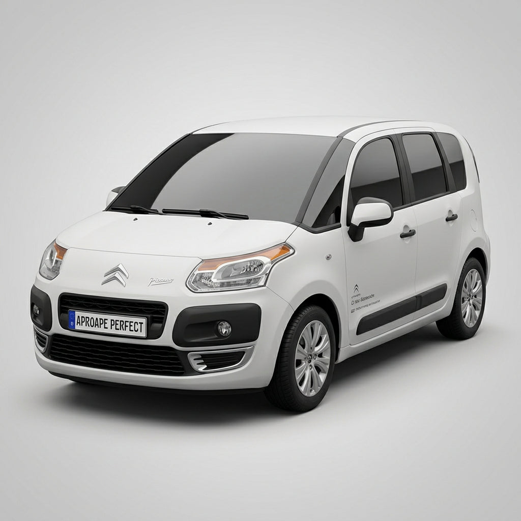 Citroen C3 Picasso SH 2009-2010