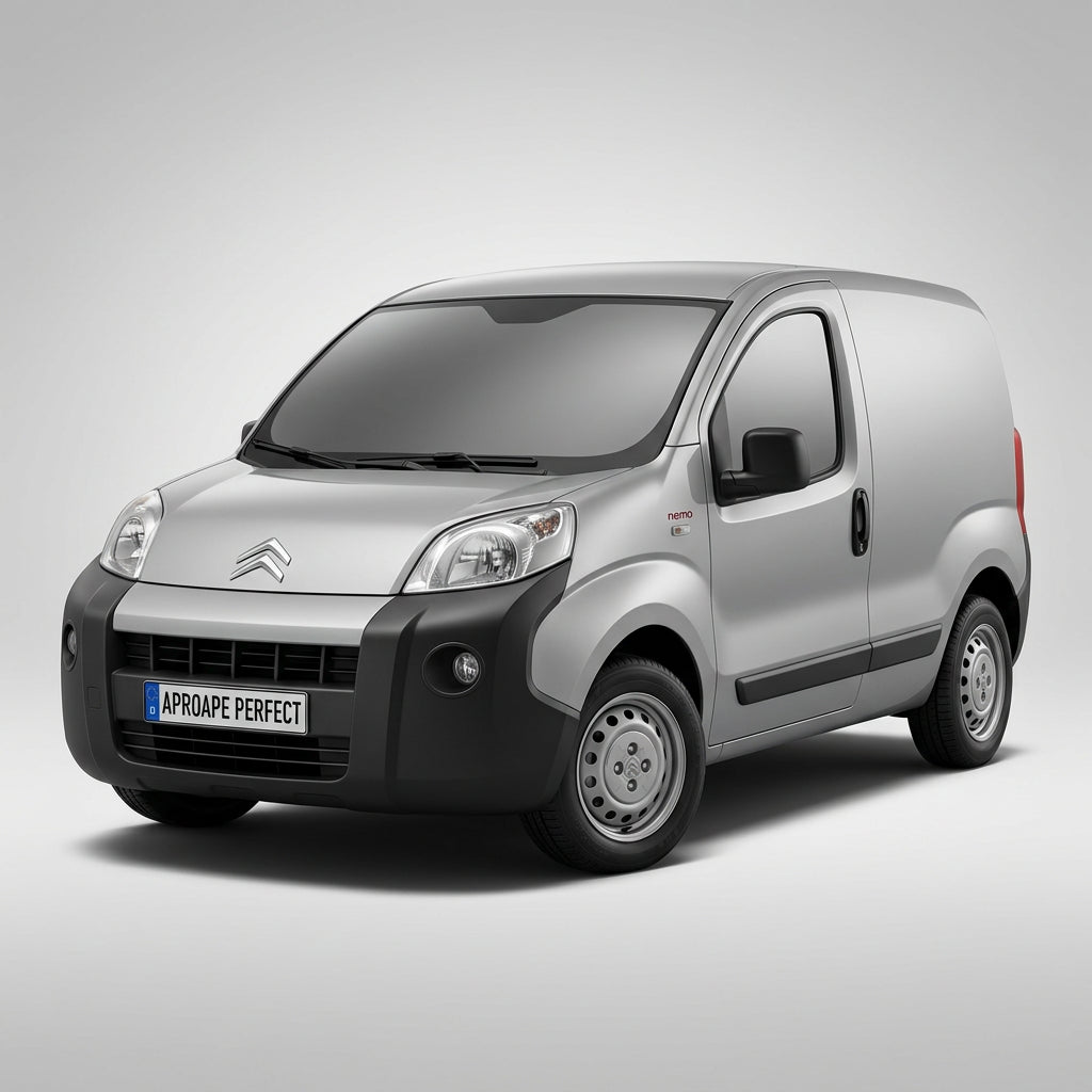 Citroen Nemo Box Body/MPV AA 02.2008–12.2018
