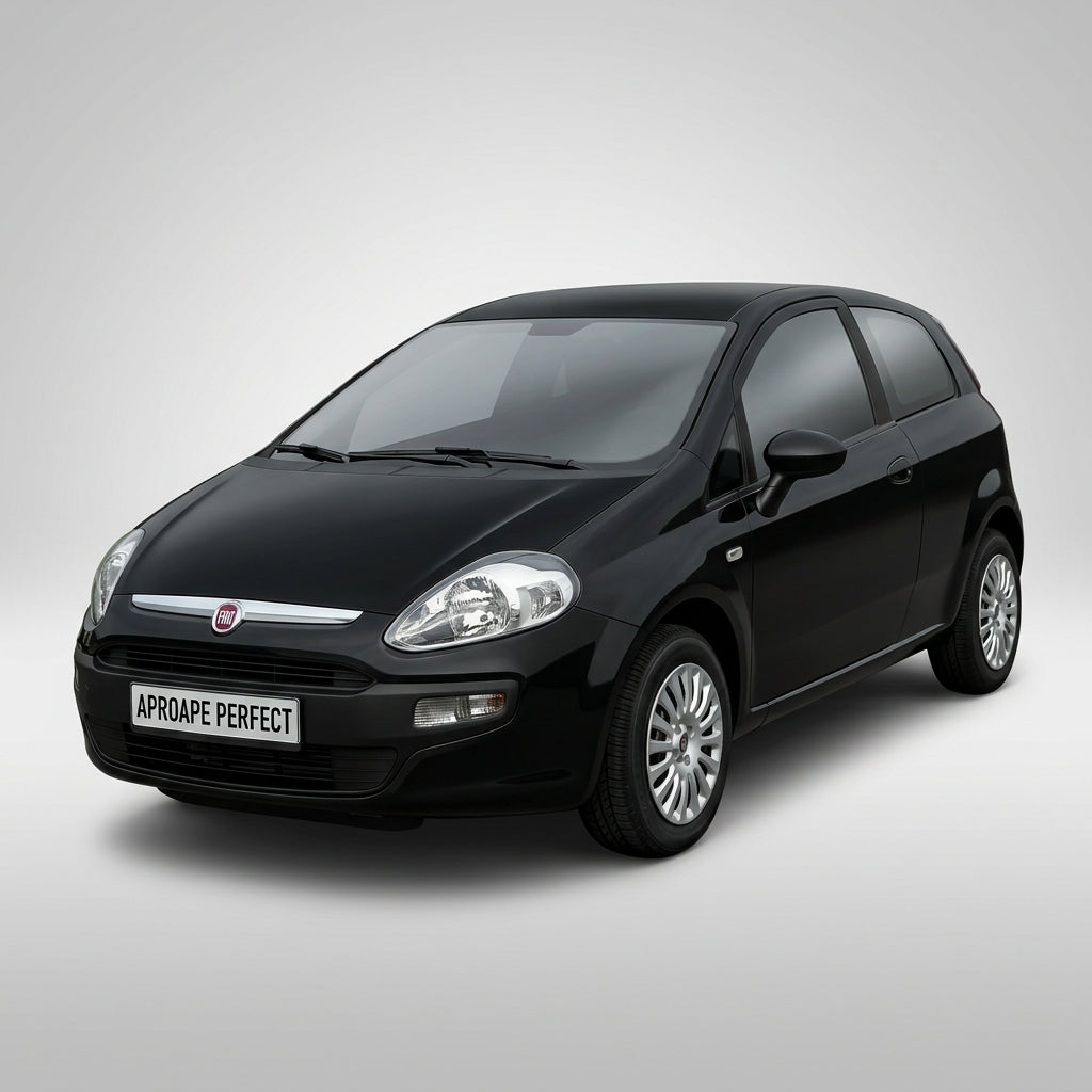 Fiat Punto (199) 01.2012–12.2018