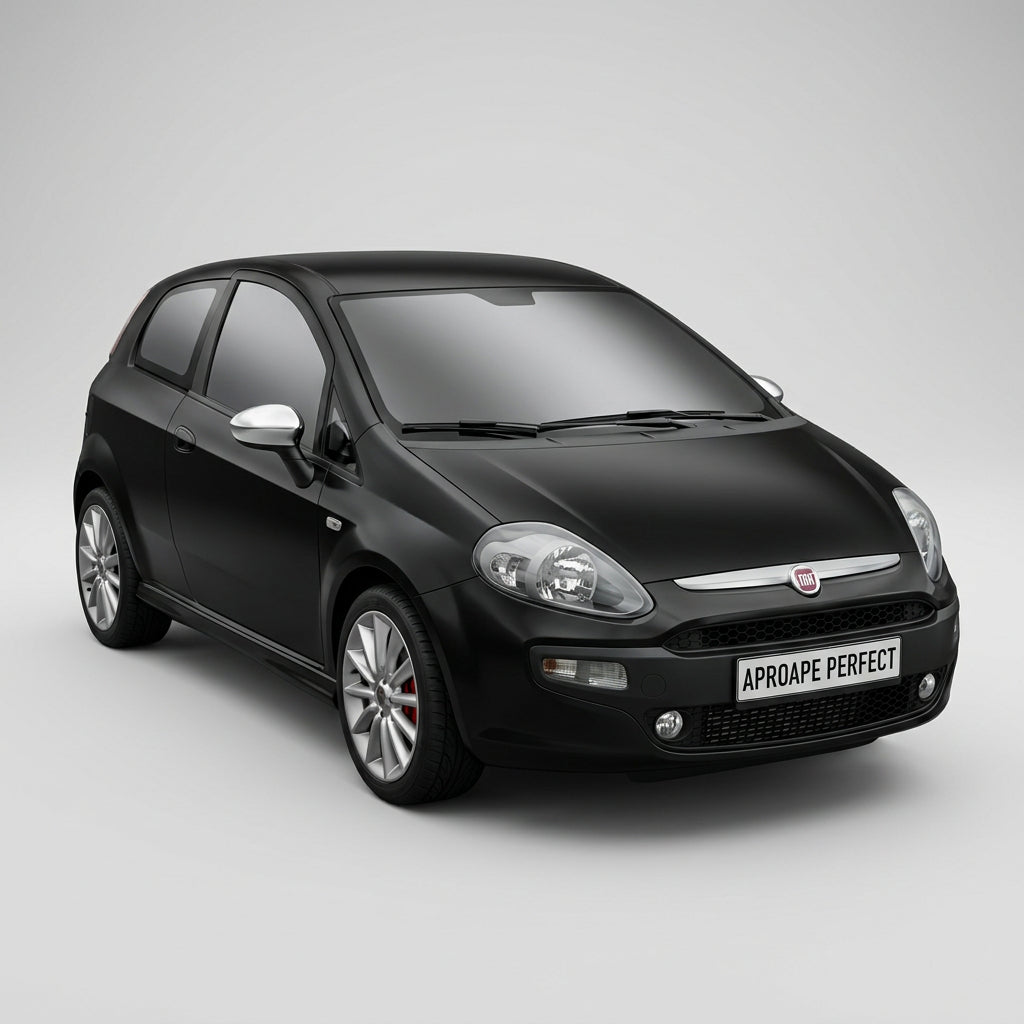 Fiat Punto Evo (199) 10.2009–12.2012