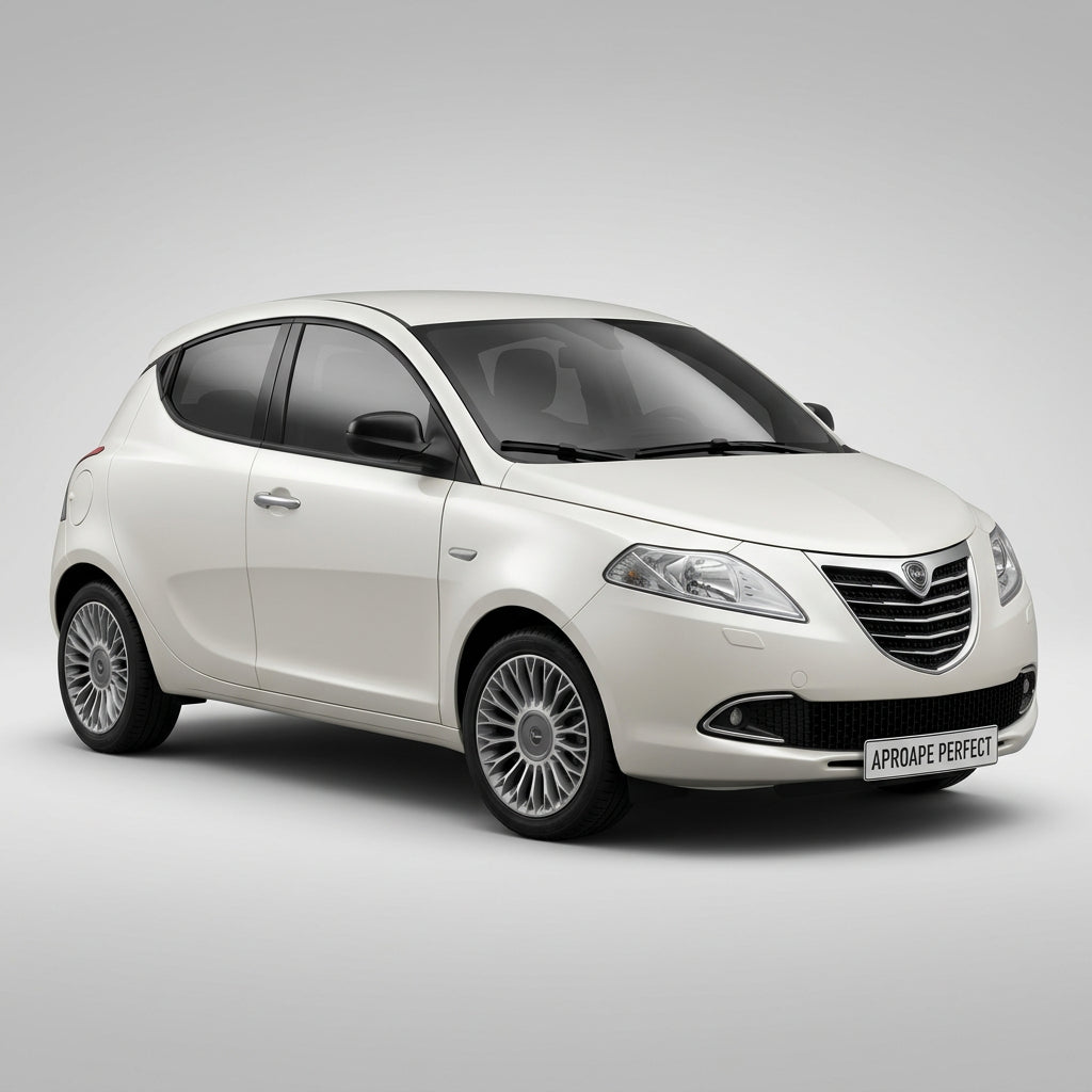  Lancia Ypsilon 312 846 din 2011