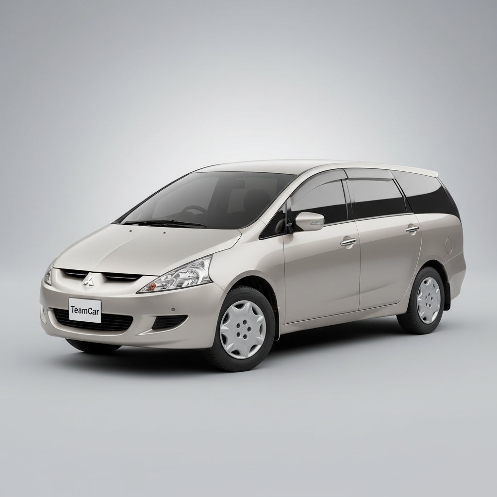 Stergatoare TeamCar pentru Mitsubishi Grandis Facelift MPV (NA_W) 2008-2010 - Set Fata si Spate Hibrid