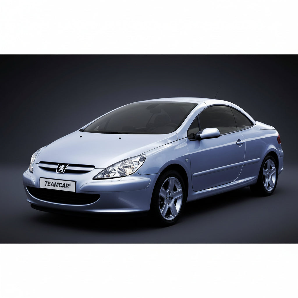 Fußmatten-Set passend für Peugeot 307 CC (2003–2005), Rot