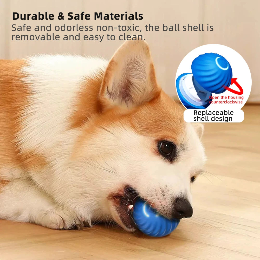 Minge Smart Dog Toy Ball în acțiune, câinele jucându-se cu ea.