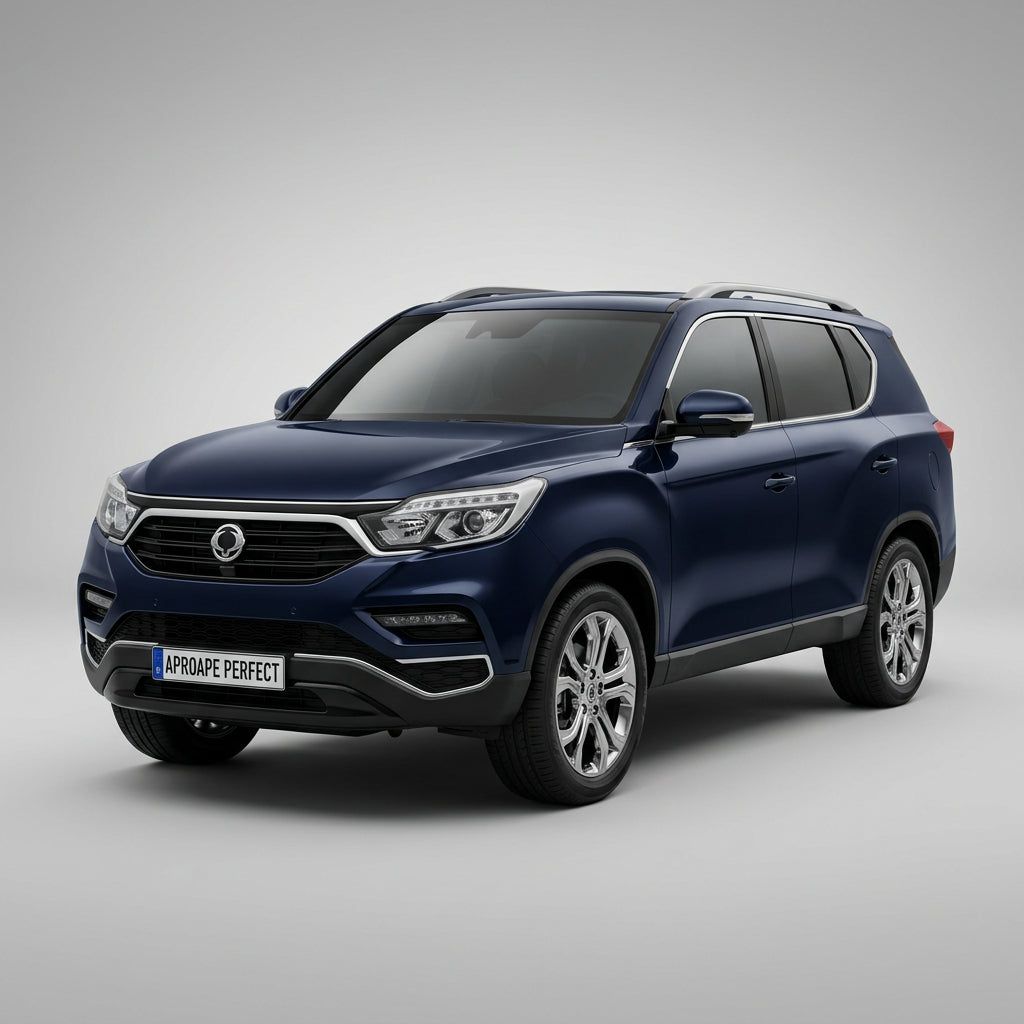  Ssangyong Rexton (Y400) din 10.2017