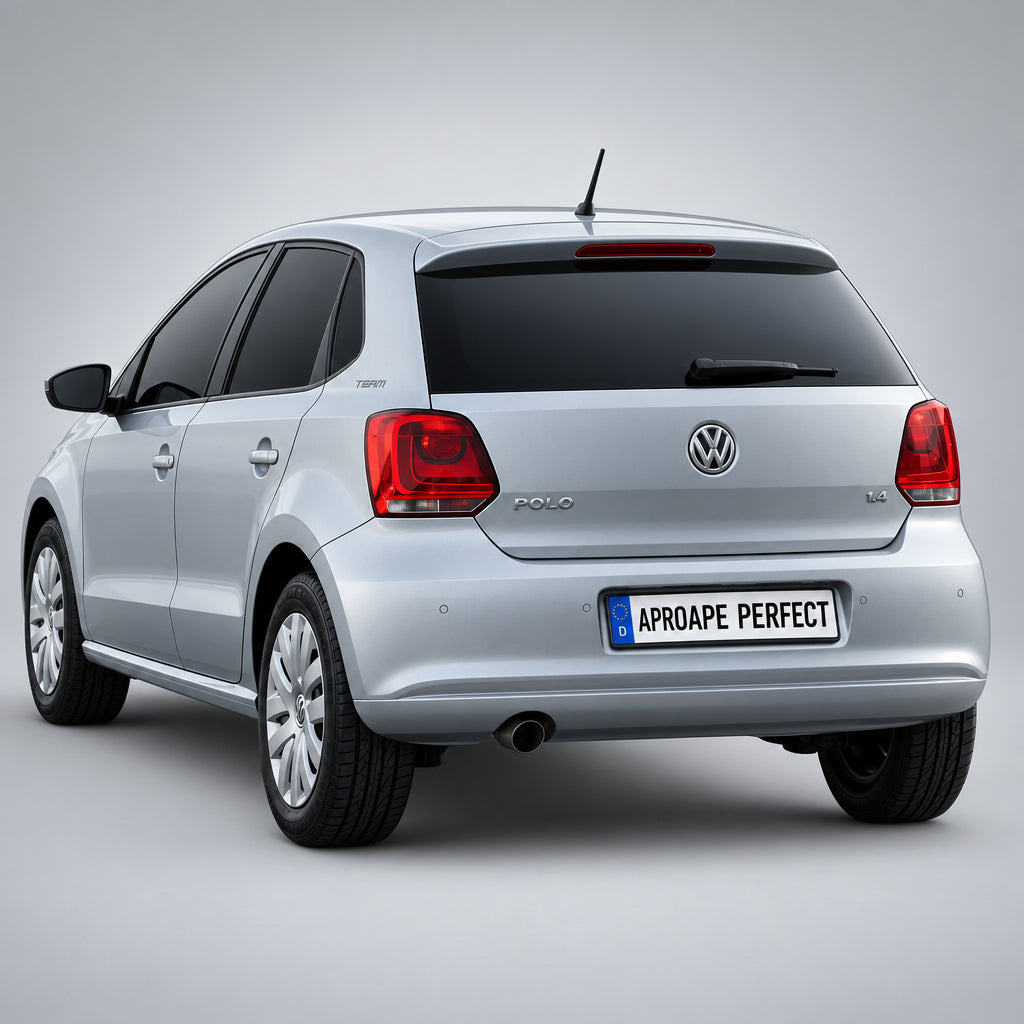 VW Polo V (6R1, 6C1)