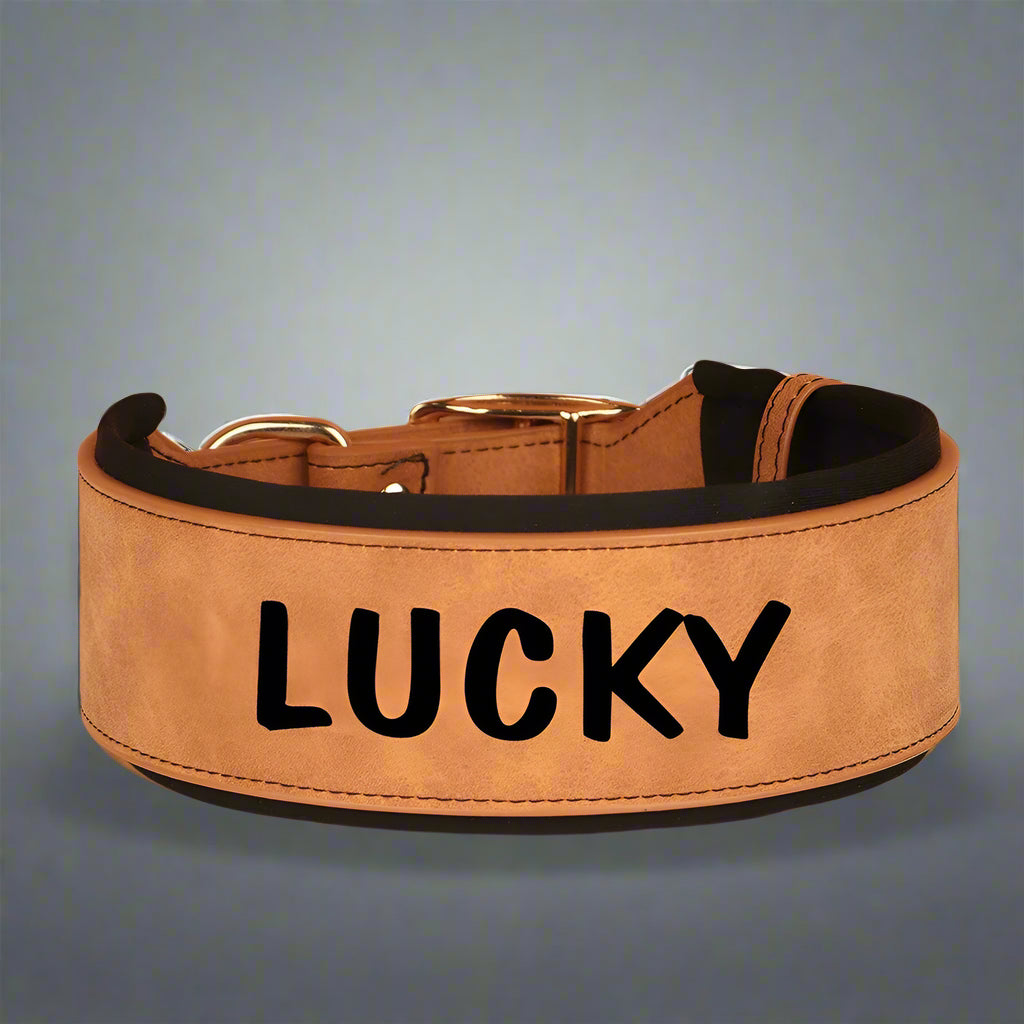 Zgarda caini talie mare personalizata