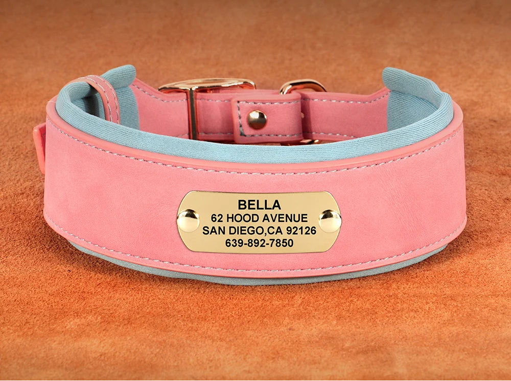 Zgarda personalizata caini roz cu bleu