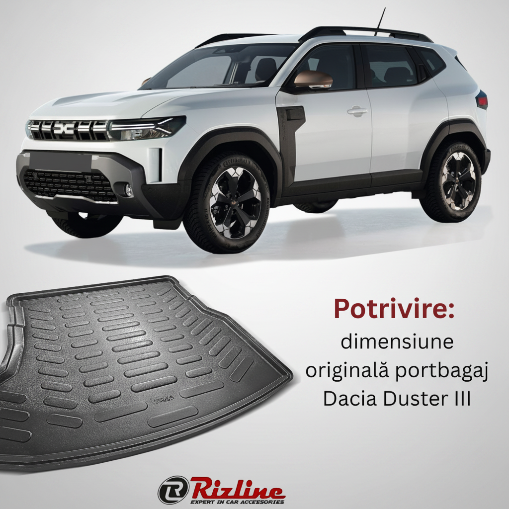 Duster 3