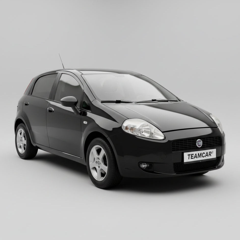 fiat-punto-13d-2010