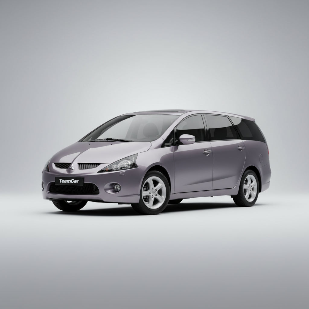 Stergatoare TeamCar pentru Mitsubishi Grandis MPV (NA_W) 2004-2008 - Set Fata si Spate Hibrid