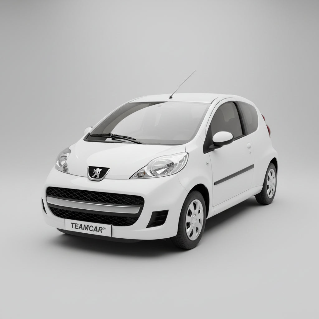 Peugeot 107 3 uși 2010