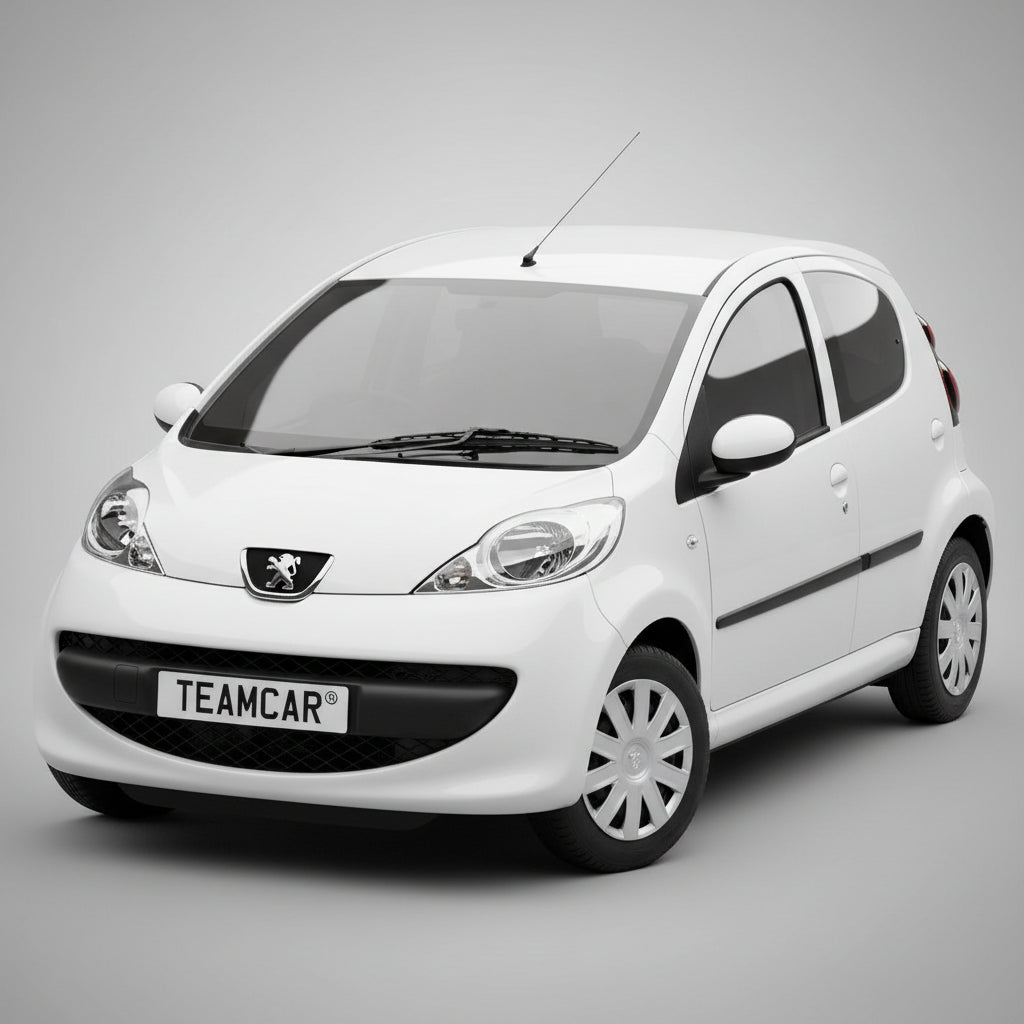 peugeot 107 2005