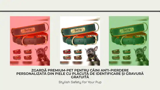 Zgardă Premium-Pet Pentru C&acirc;ini Anti-Pierdere Personalizată Din Piele cu Plăcuță De Identificare și Gravură Gratuită by@Outfy