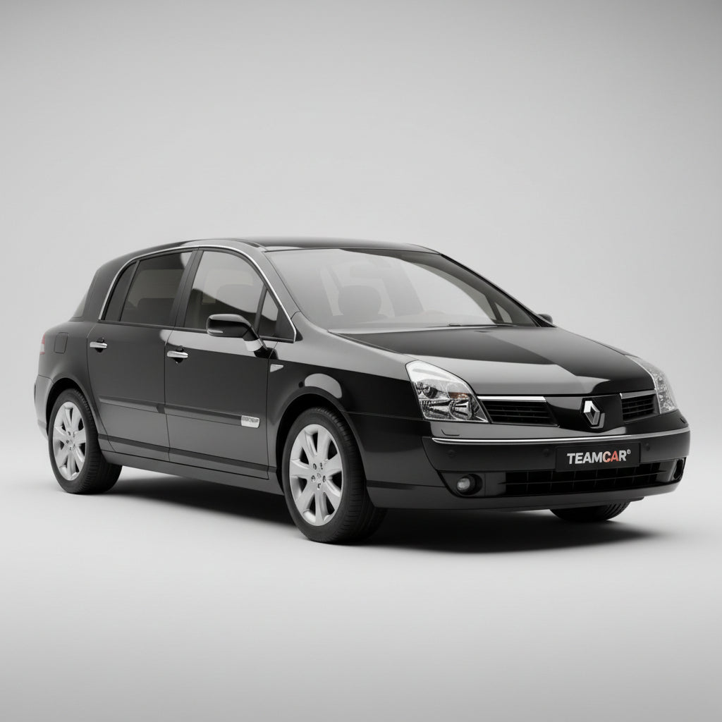renault_vel_satis_2_hatchback_2005-2009