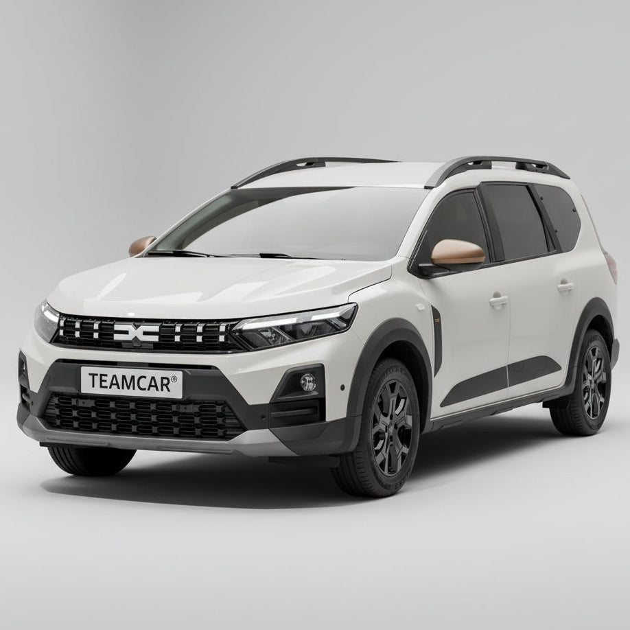 sandero-jogger-2021-2024